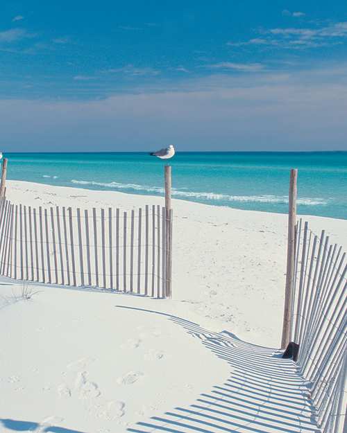 Pensacola Beach - Photo 1