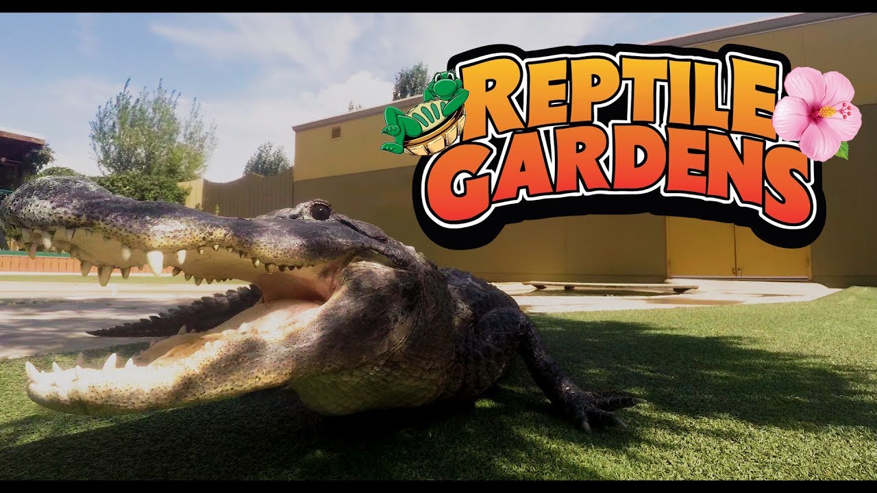 Reptile Gardens - Photo 1