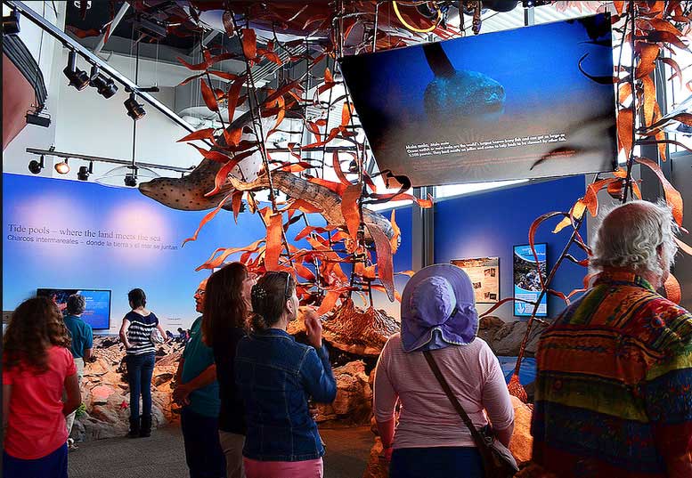 Exploration Center & Aquarium - Save The Bay - Photo 1
