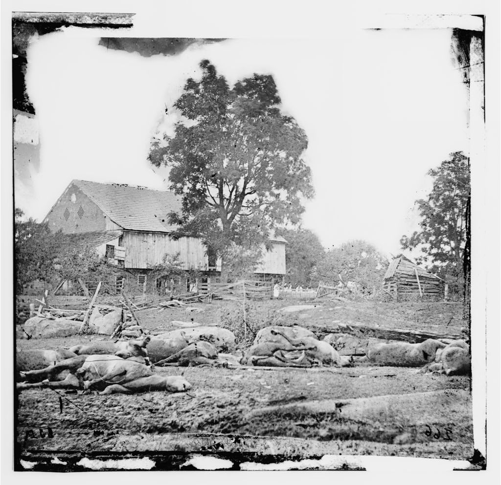 Trostle Barn - Photo 1