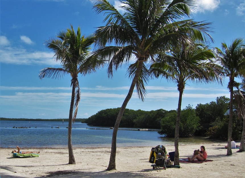 Far Beach - Photo 1