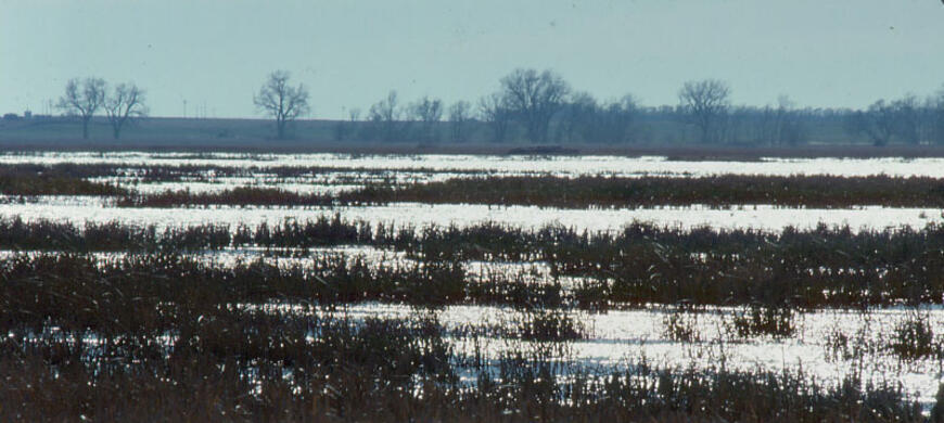 Cheyenne Bottoms Wildlife Area - Photo 1