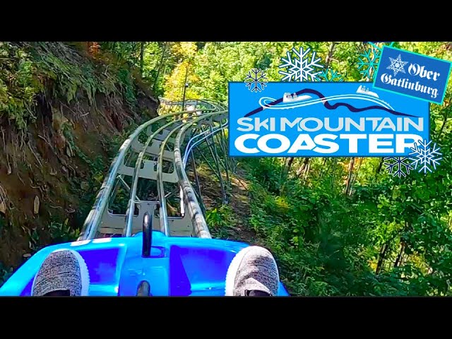 Ski Mountain Coaster - Photo 1