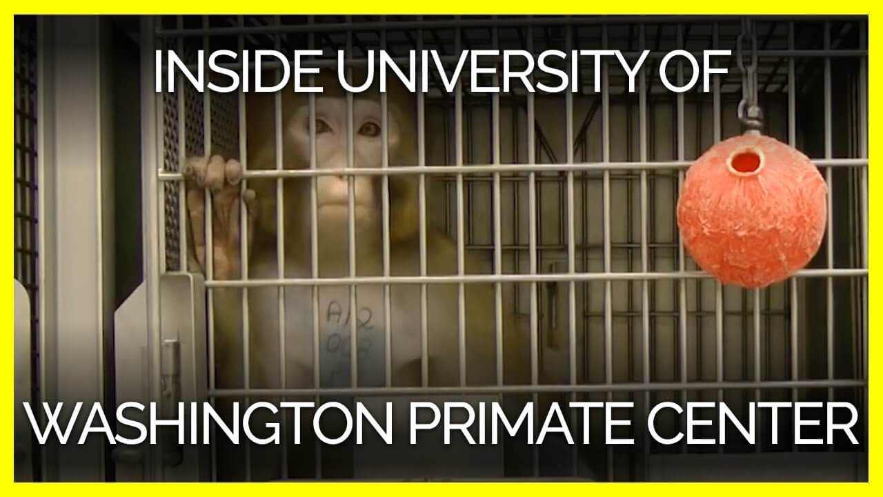Washington National Primate Research Facility - Photo 1
