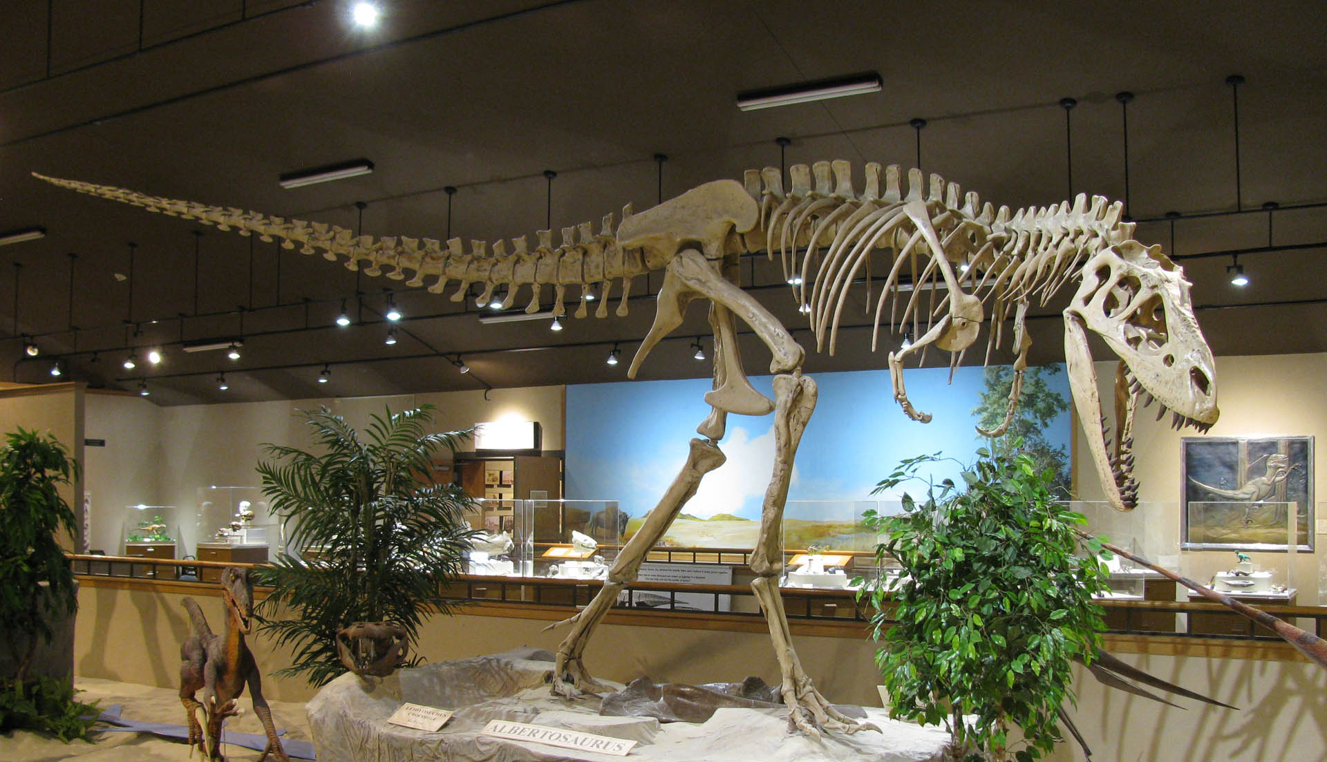 Badlands Dinosaur Museum in Joachim Regional Museum - Photo 1