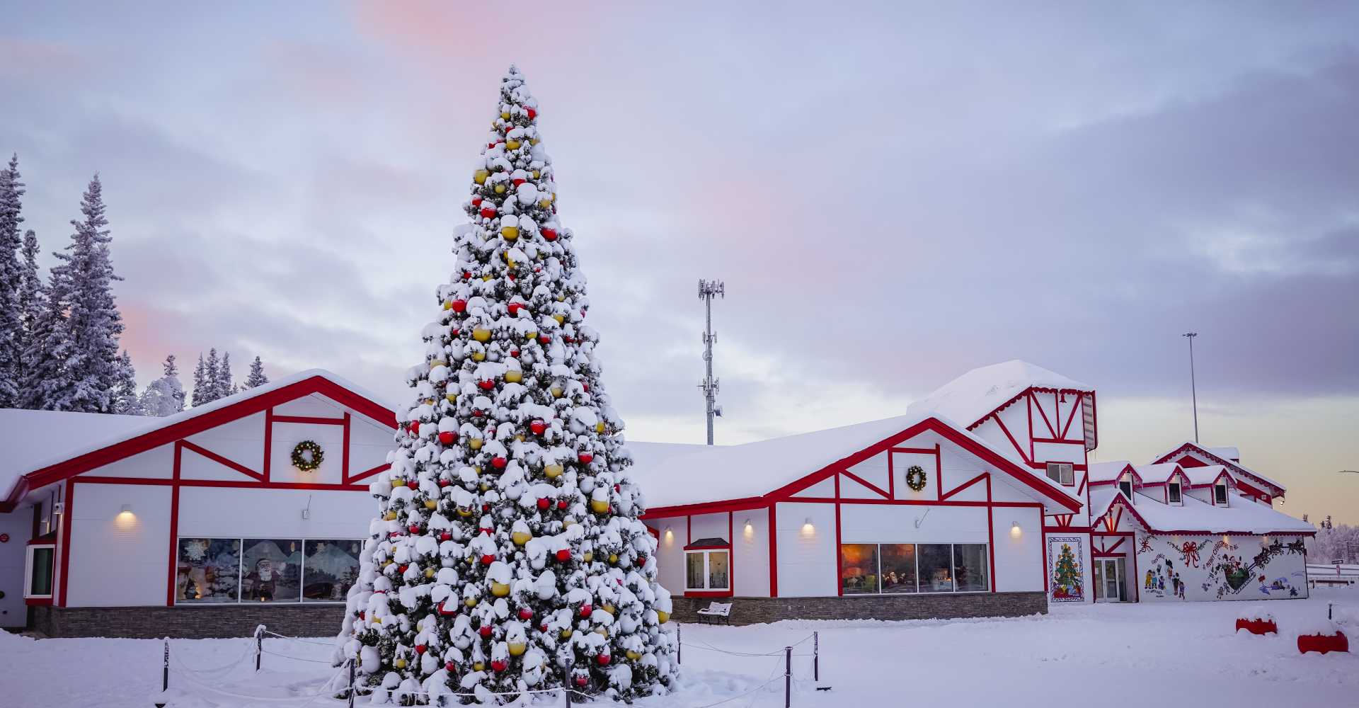 North Pole - Photo 1