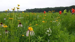 Midewin National Tallgrass Prairie @ South Chicago Road - Photo 1