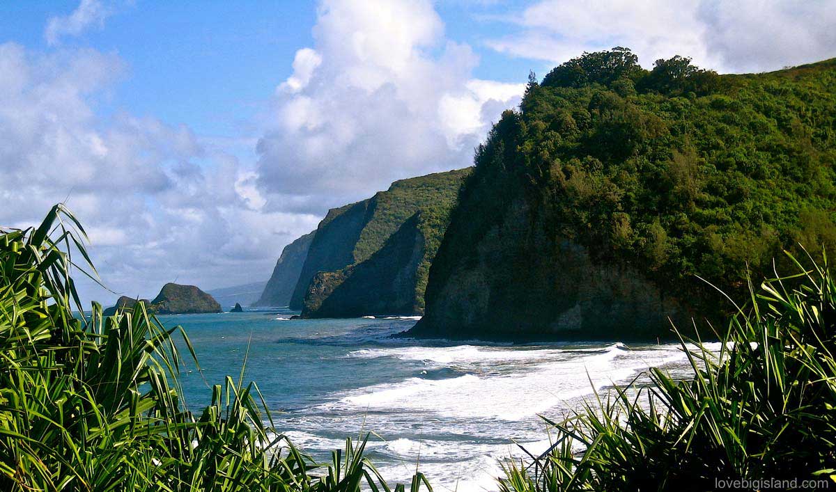 Waimea - Photo 1
