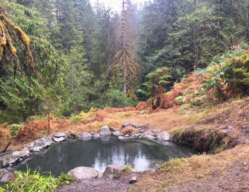 Olympic Hot Springs - Photo 1