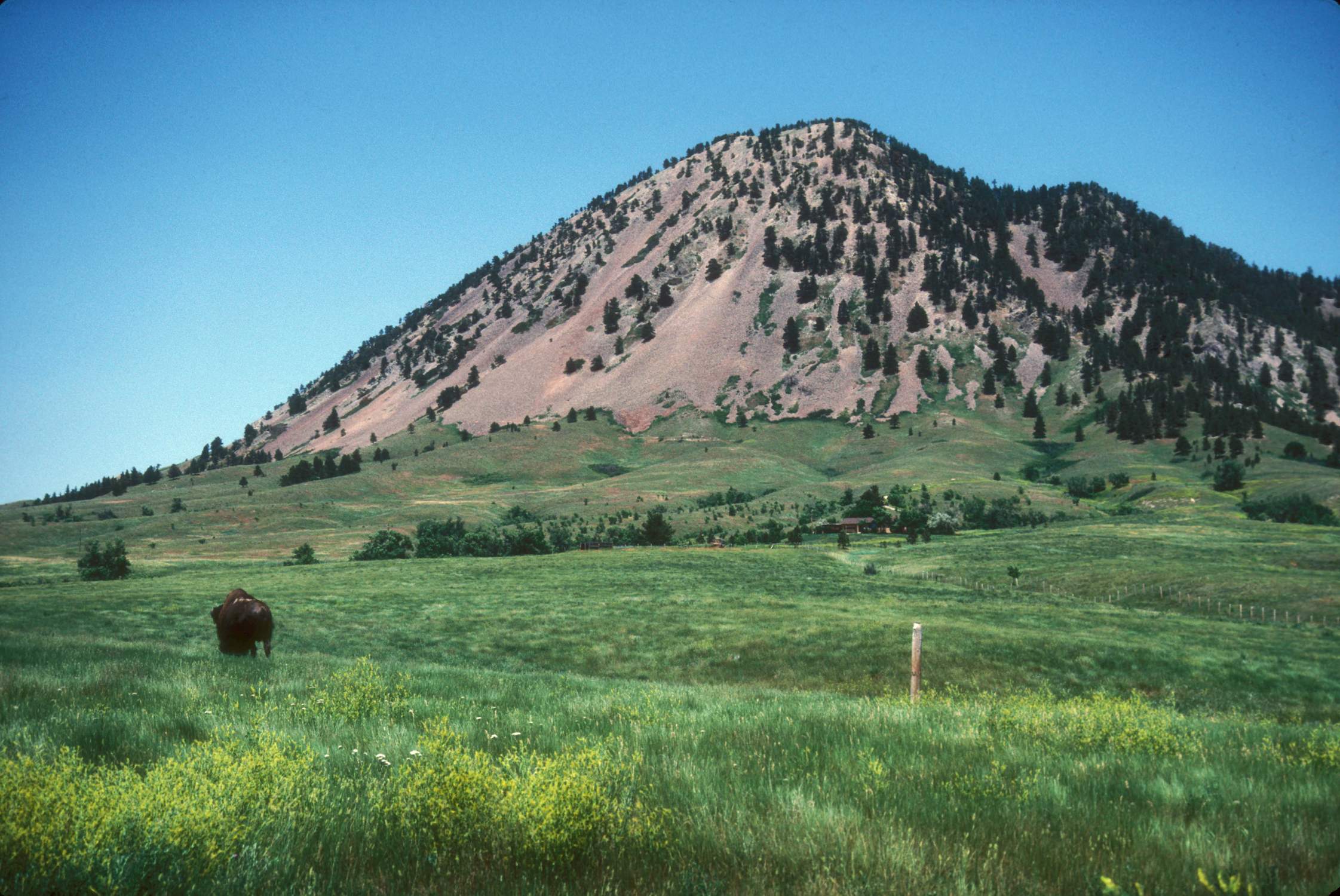 Bear Butte - Photo 1
