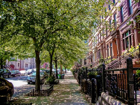 Bedford-Stuyvesant - Photo 1