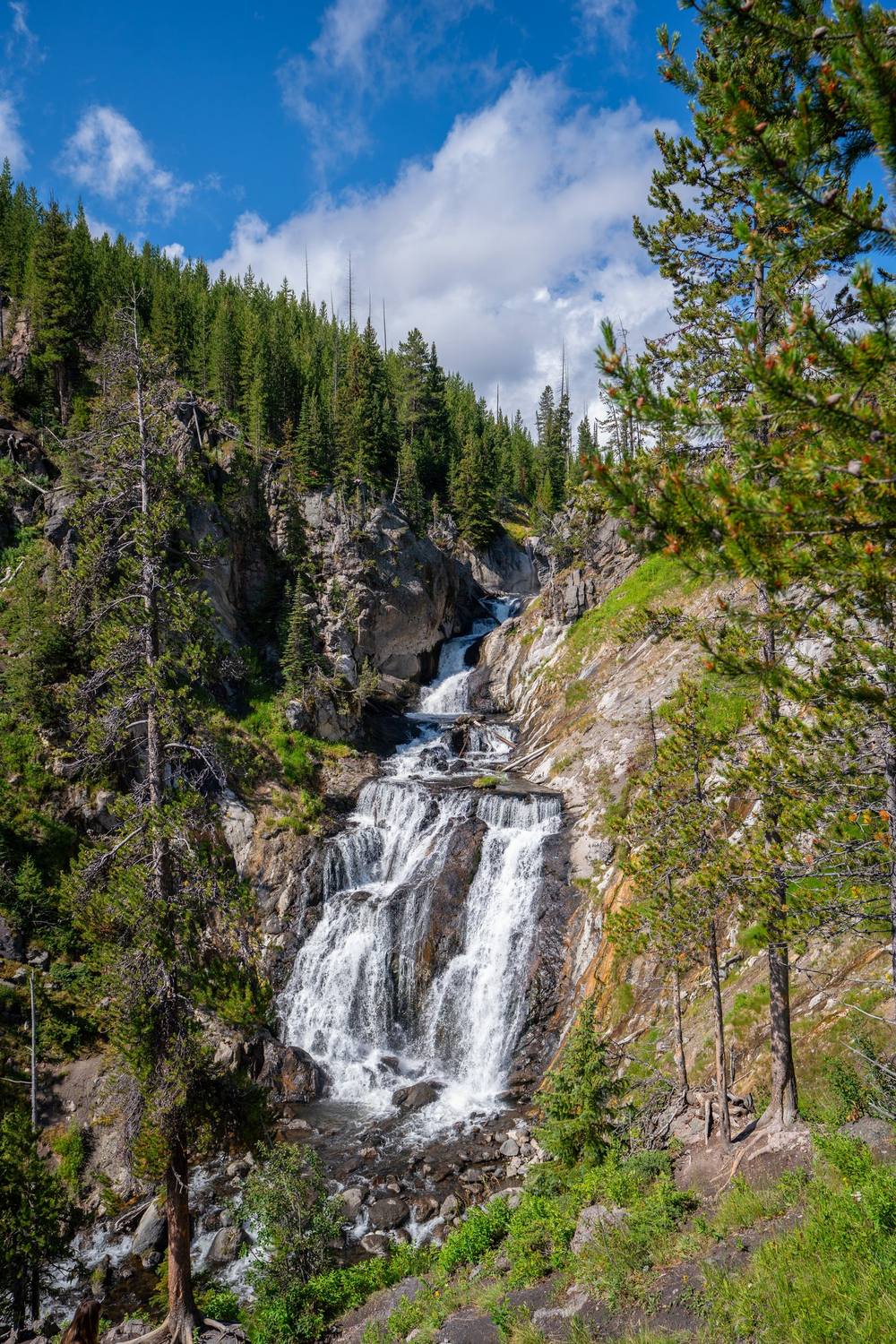 Mystic Falls Trail - Photo 1