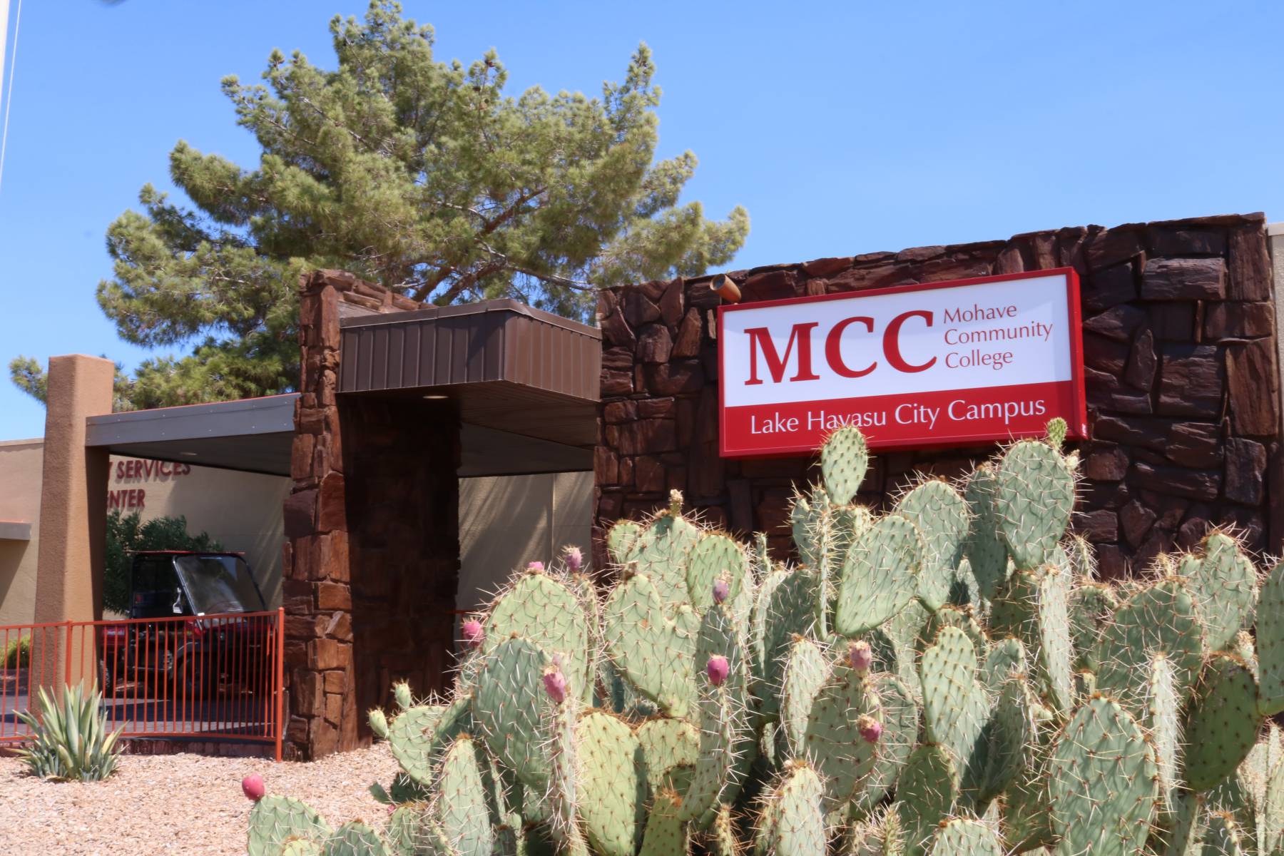 Mohave - Photo 1