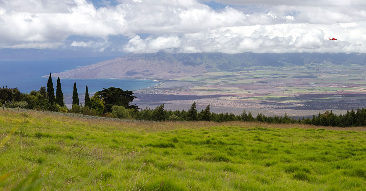 Maui - Photo 1