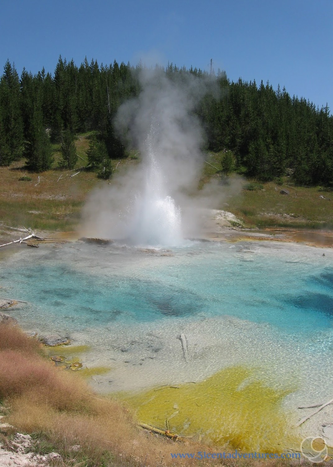 Imperial Geyser - Photo 1