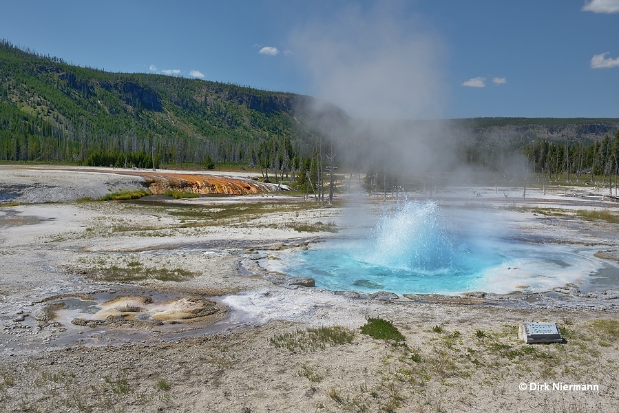 Spouter Geyser - Photo 1