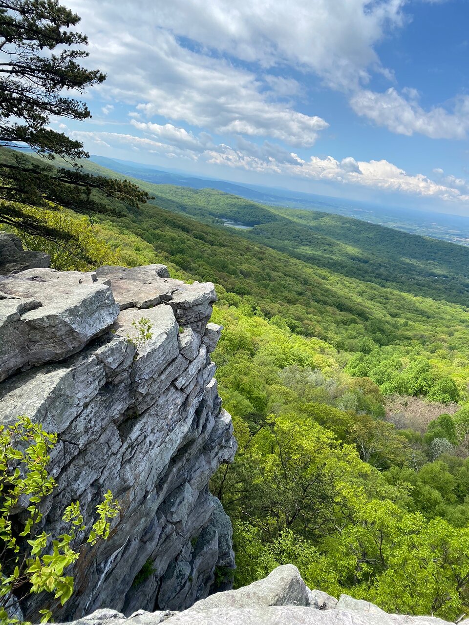Annapolis Rock - Photo 1