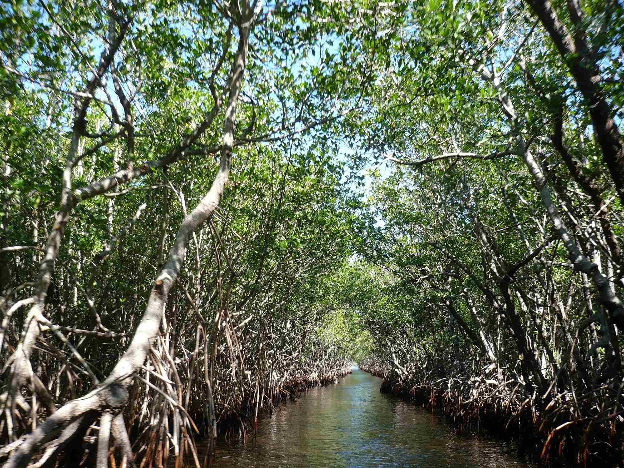 Ponce de Leon Bay - Photo 1