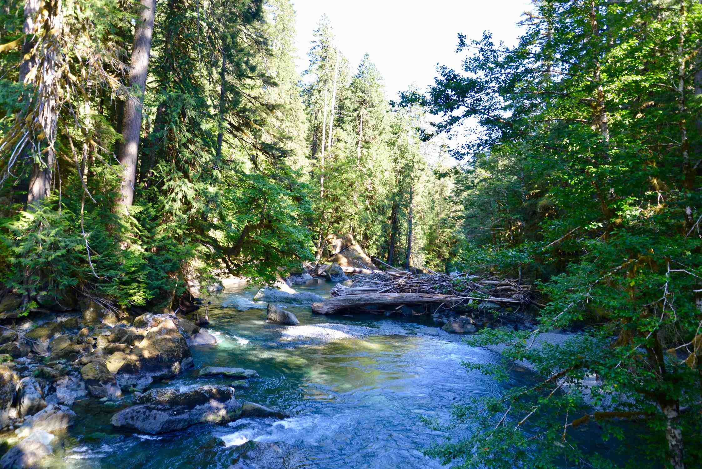Staircase Rapids Trailhead - Photo 1
