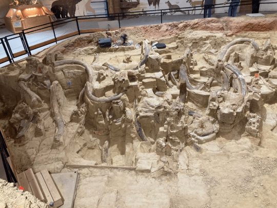 The Mammoth Site of Hot Springs SD - Photo 1