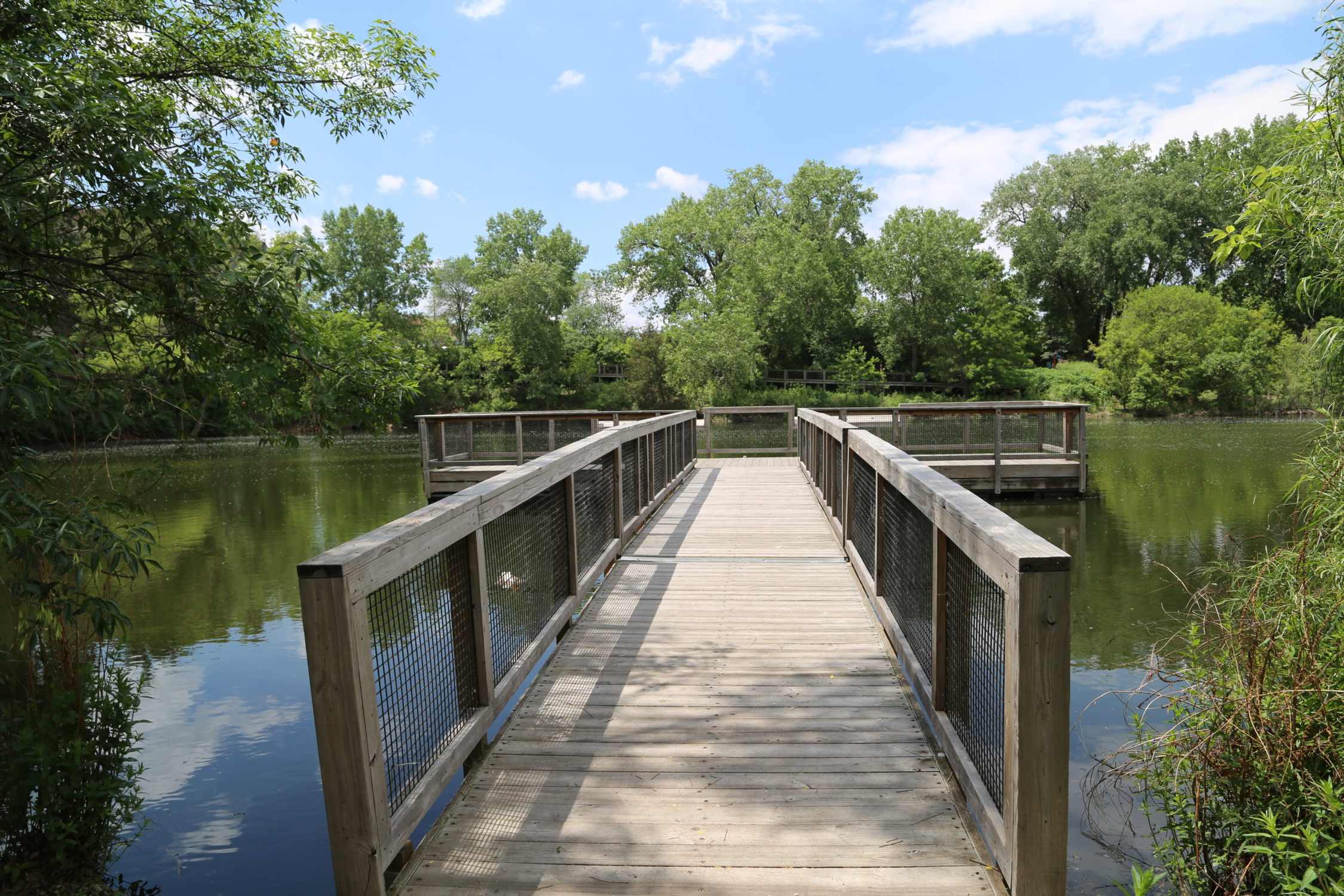 Wolfe Park - Photo 1