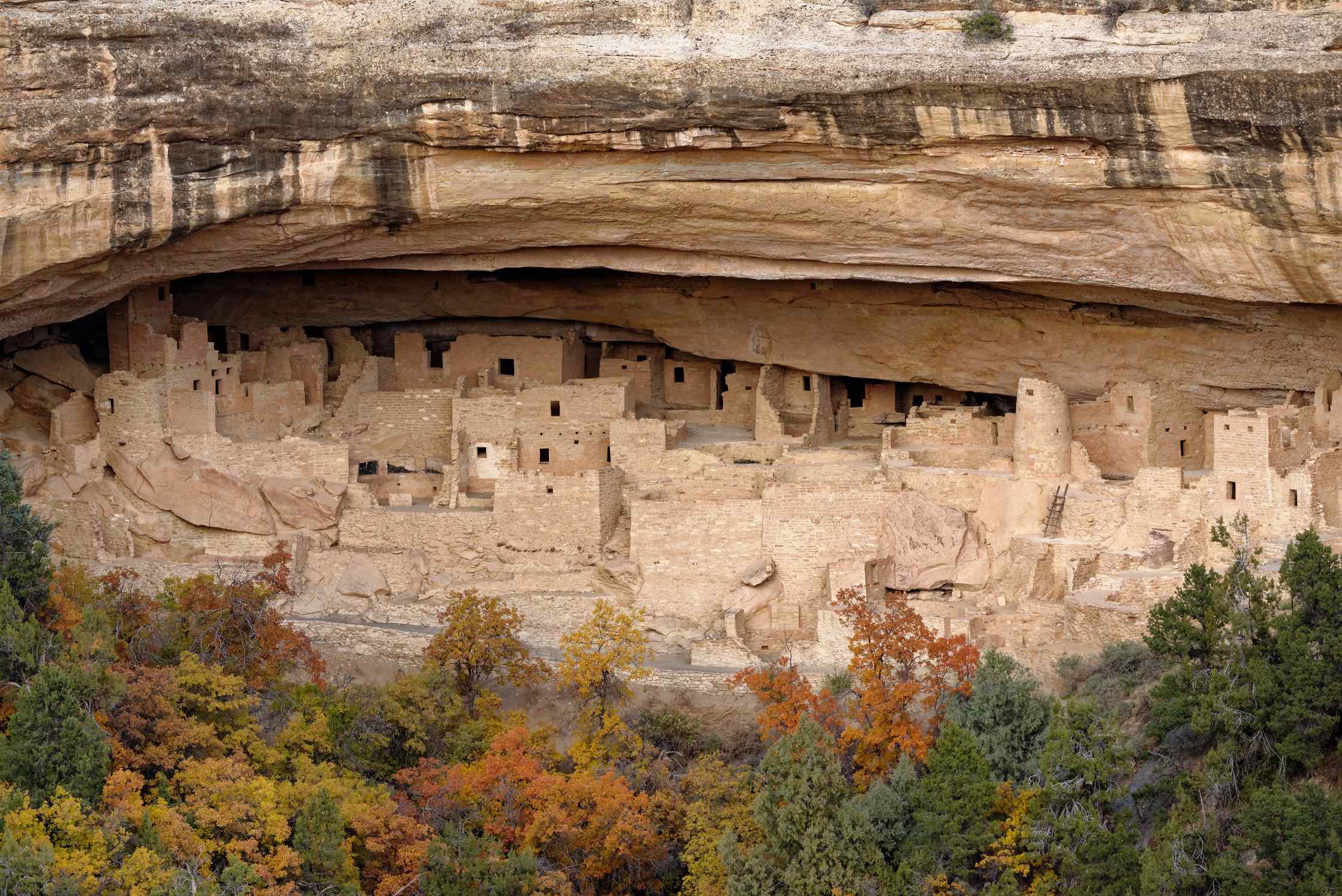 Ancient Ancestral Puebloan Cave Dwelling - Photo 1