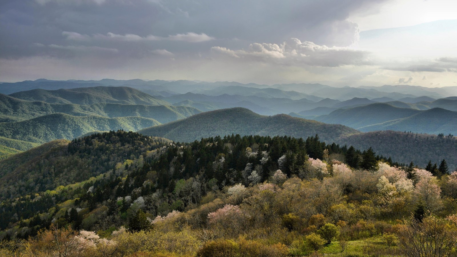 Cowee Mountains Overlook (MP 430.7) - Photo 1