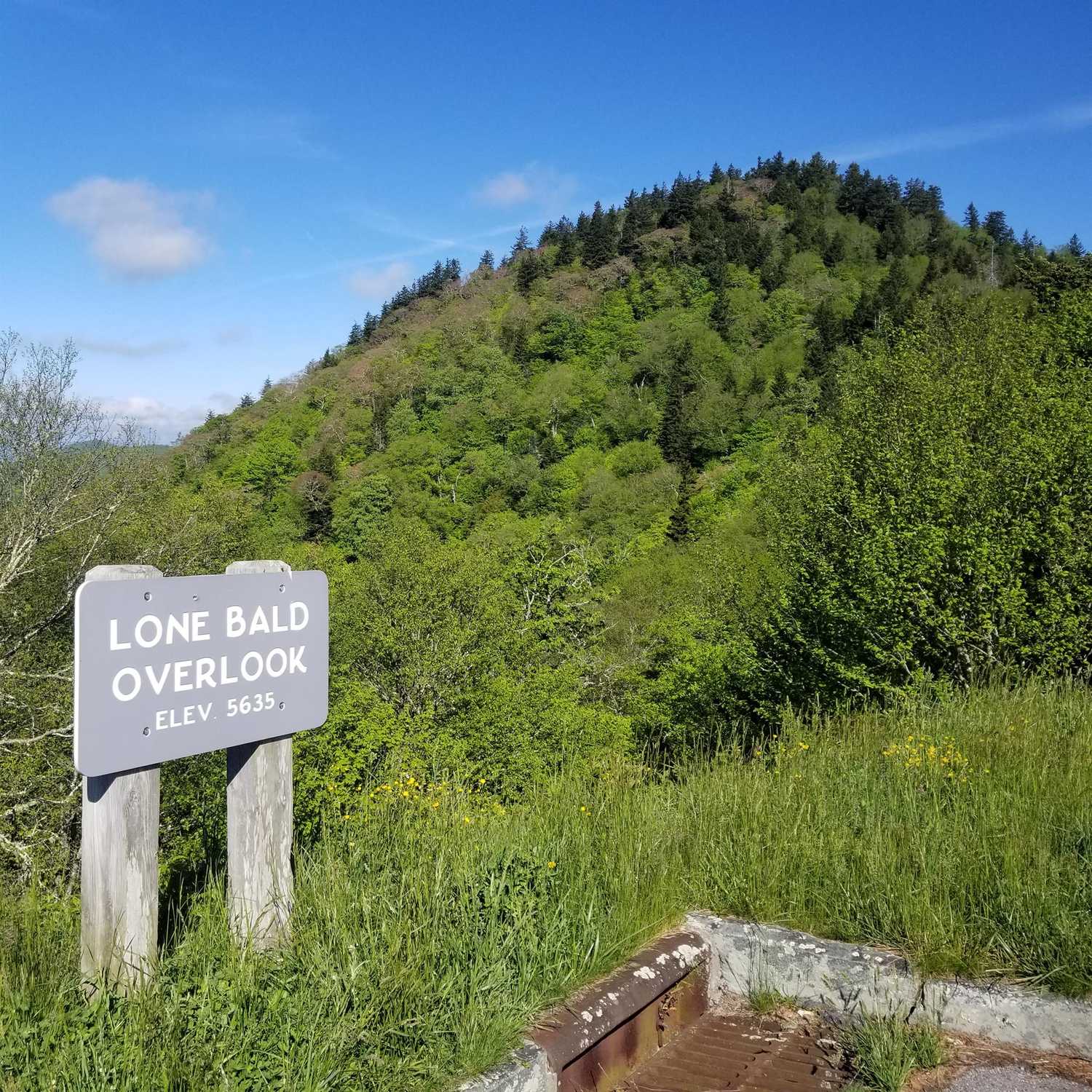 Lone Bald Overlook - Photo 1