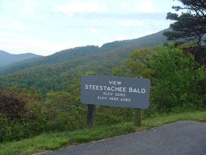 Steestachee Bald Overlook - Photo 1