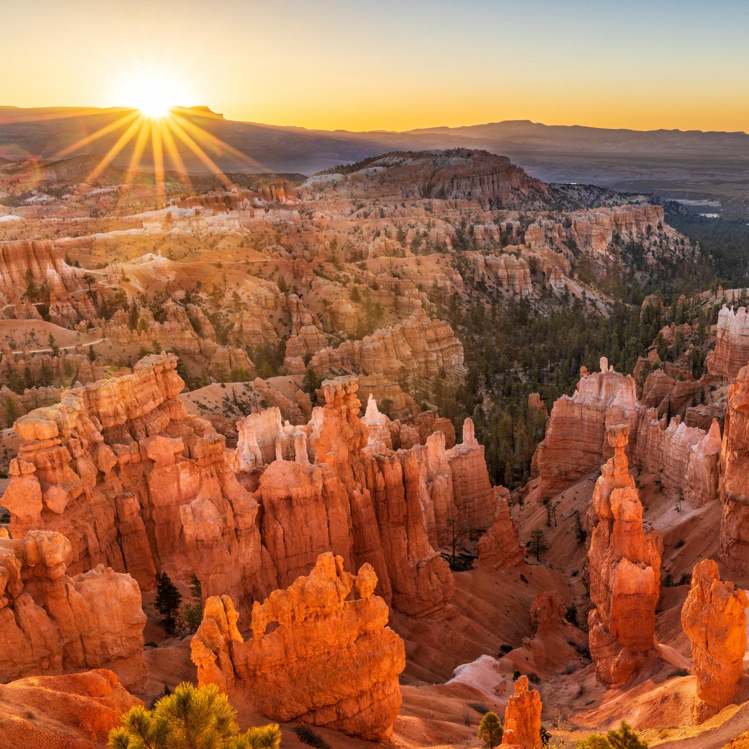 Rim Trail - Photo 1