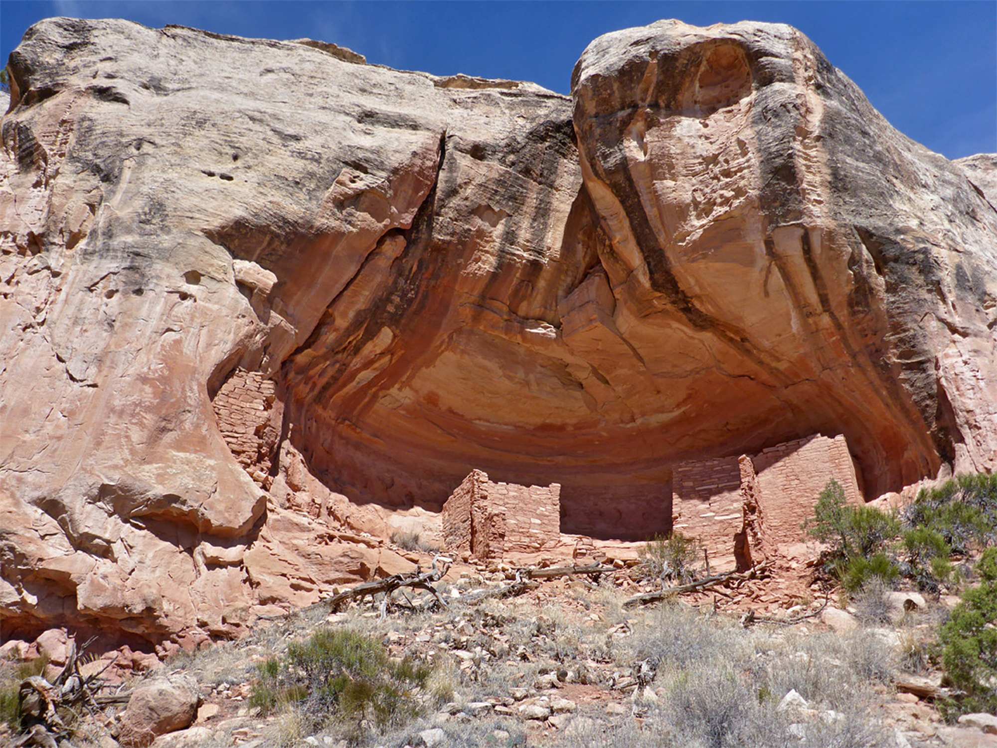 Sand Canyon Pueblo - Photo 1