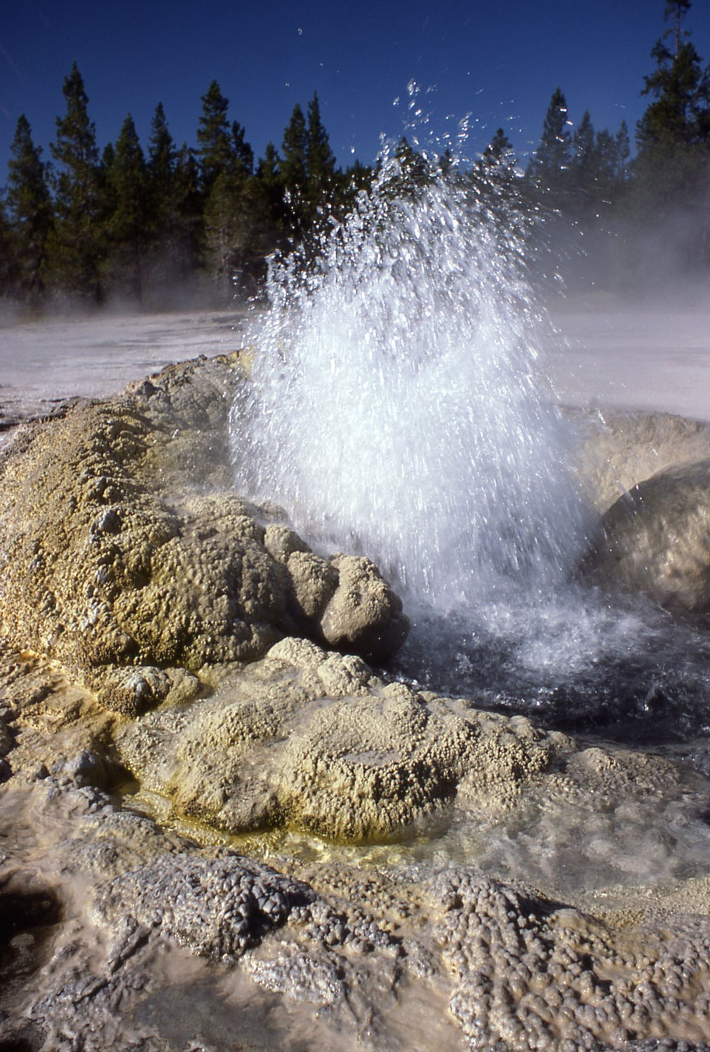 Comet Geyser - Photo 1