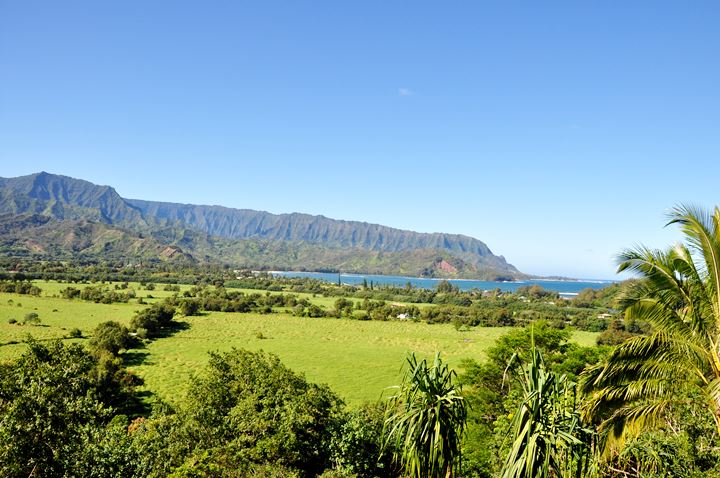 Hanalei Overlook - Photo 1