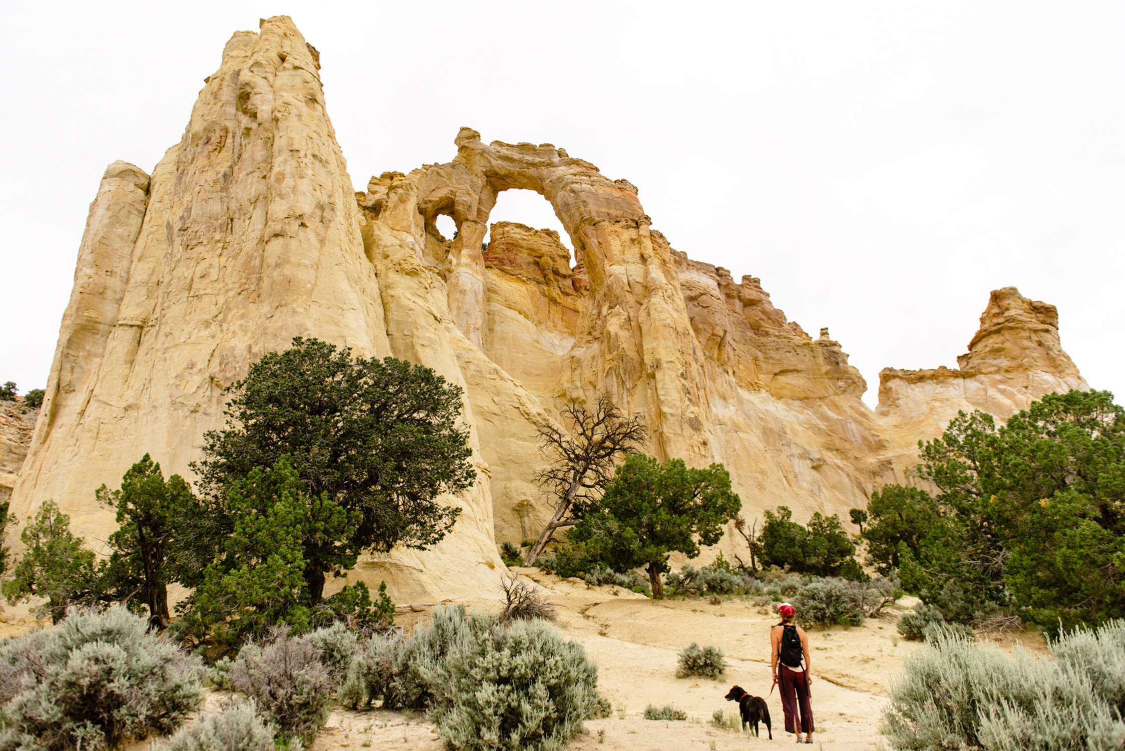 Grosvenor Arch - Photo 1