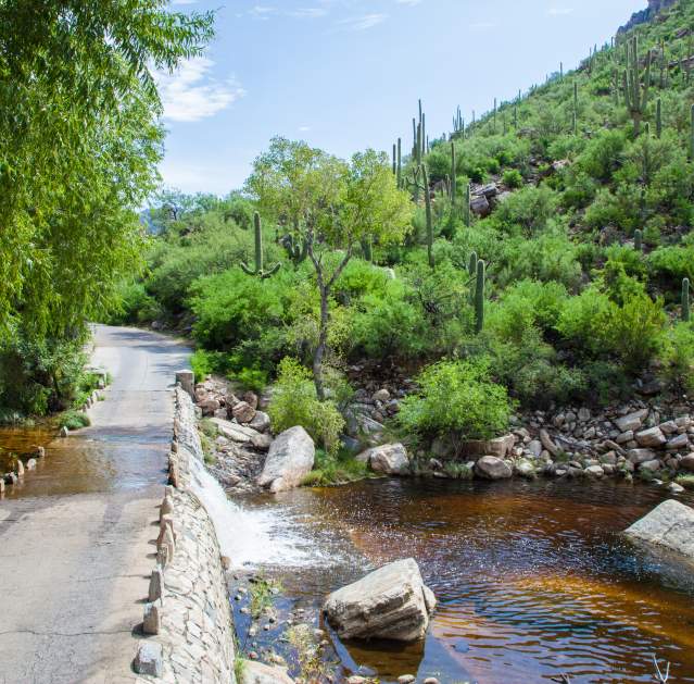 Sabino Canyon Trailhead - Photo 1
