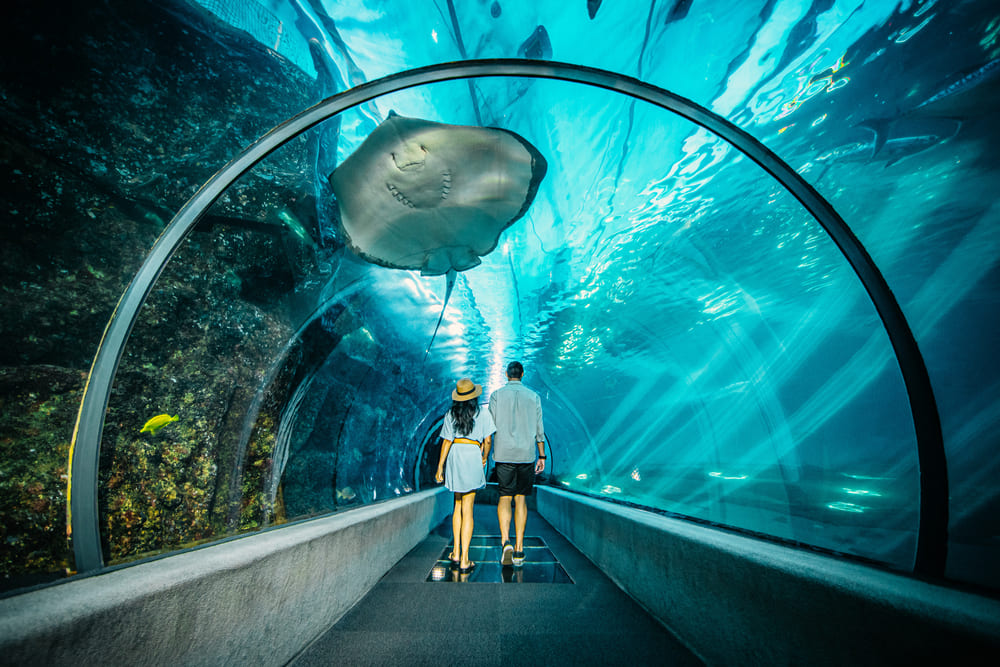 Maui Ocean Center - Photo 1