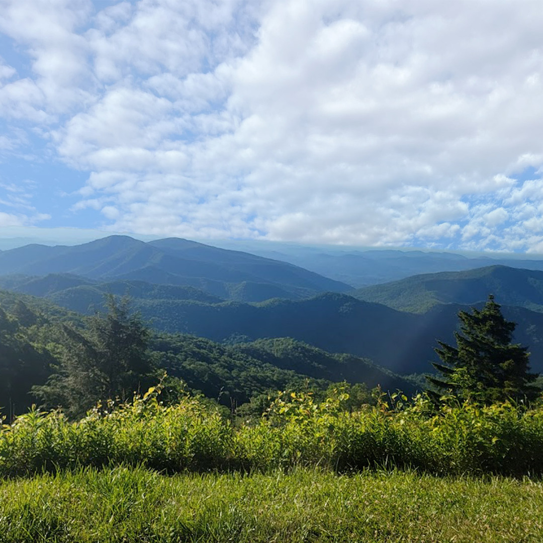 Curtis Valley Overlook - Photo 1