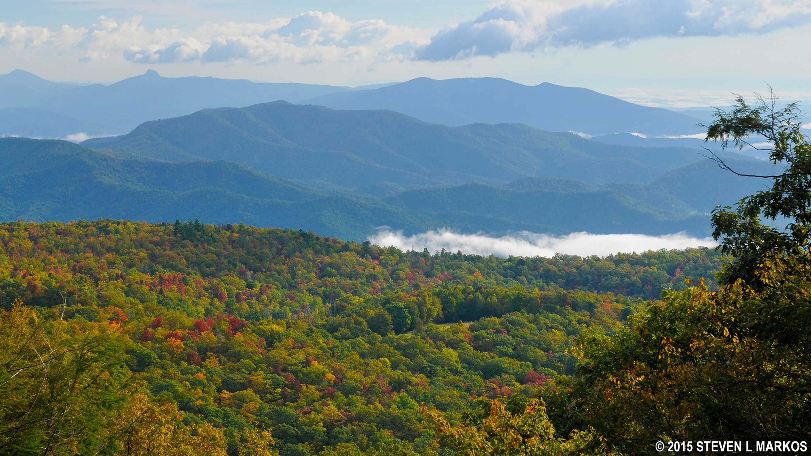 Laurel Knob Overlook (MP 349.2) - Photo 1