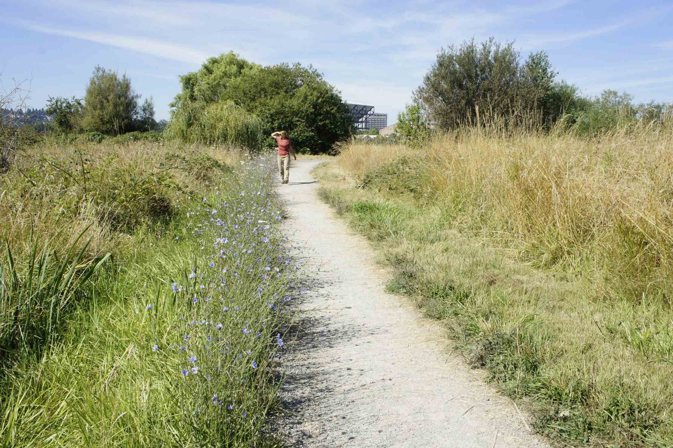 Union Bay Natural Area - Photo 1