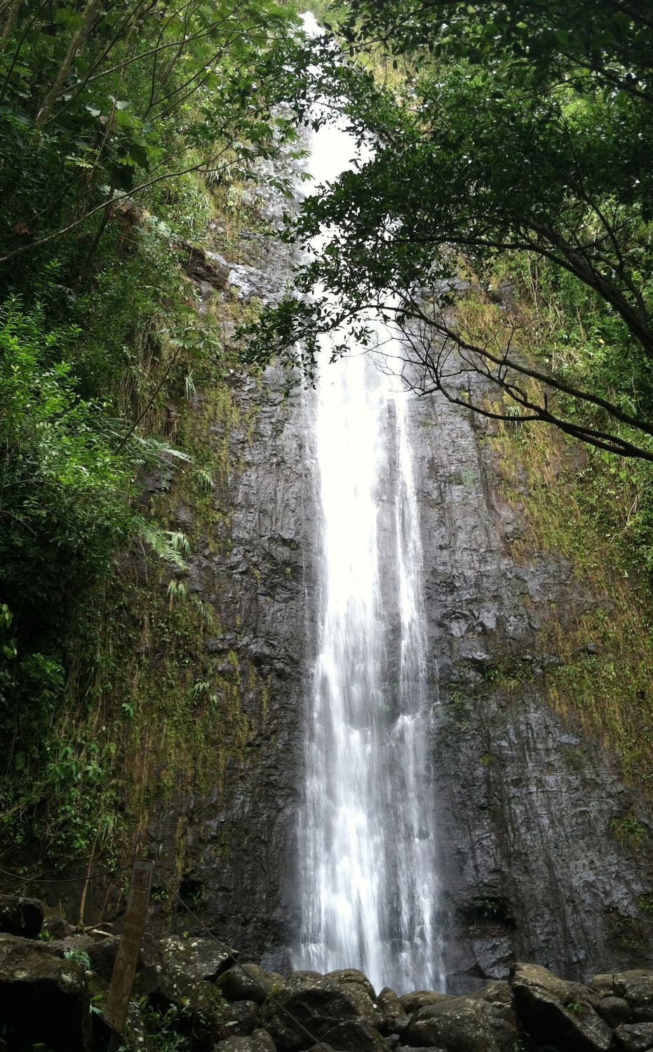 Manoa Falls - Photo 1