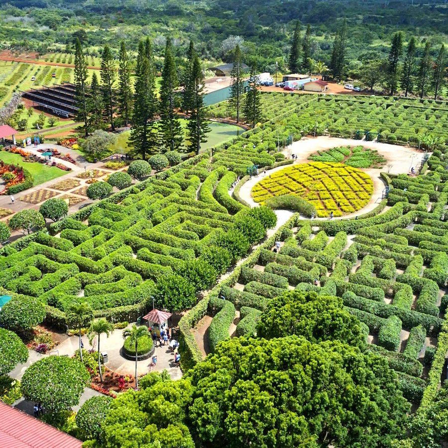 The Dole Plantation - Photo 1