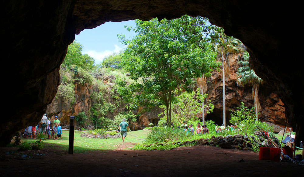 Makauwahi Cave - Photo 1