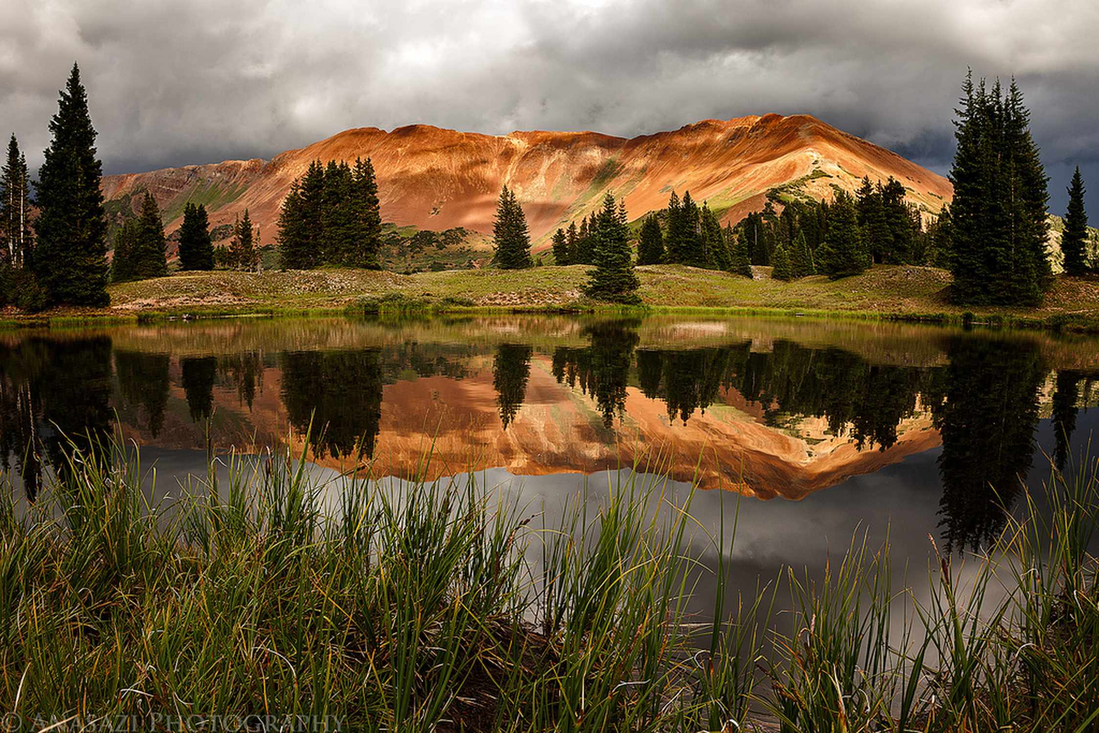 Paradise Divide - Photo 1