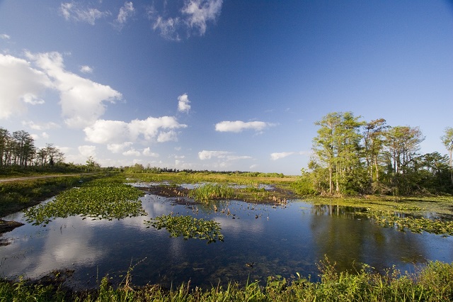 Arthur R. Marshall Loxahatchee National Wildlife Refuge - Photo 1
