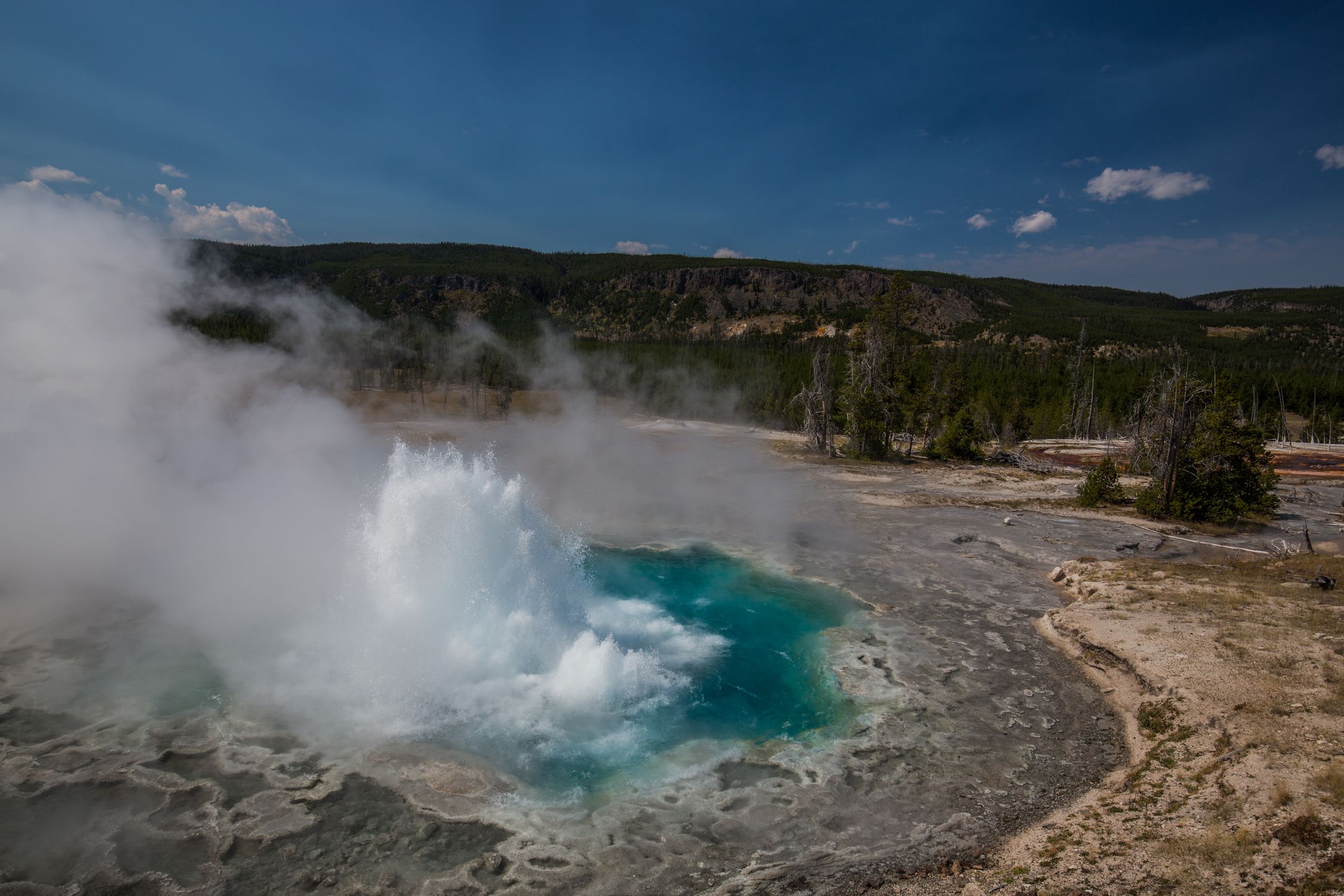 Artemisia Geyser - Photo 1