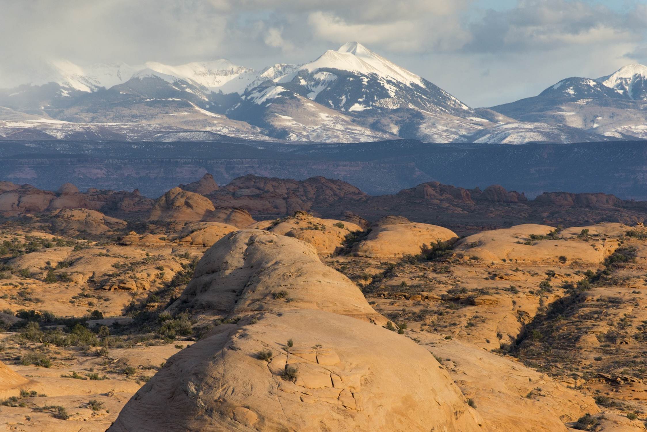Petrified Dunes Viewpoint - Photo 1