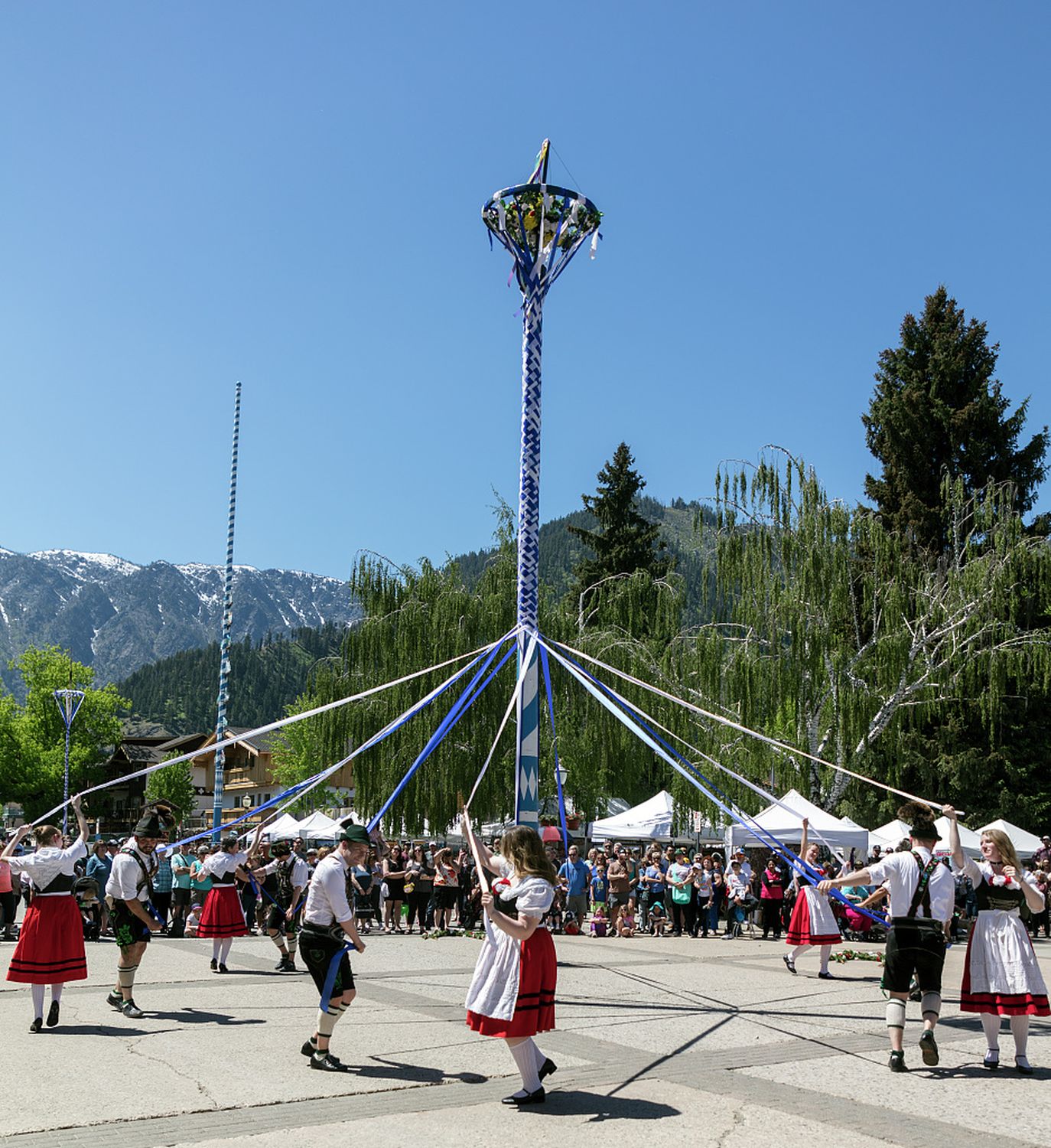 Maibaum - Photo 1
