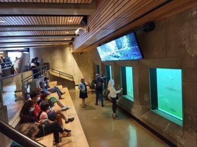 Fish Ladder Viewing Gallery - Photo 1