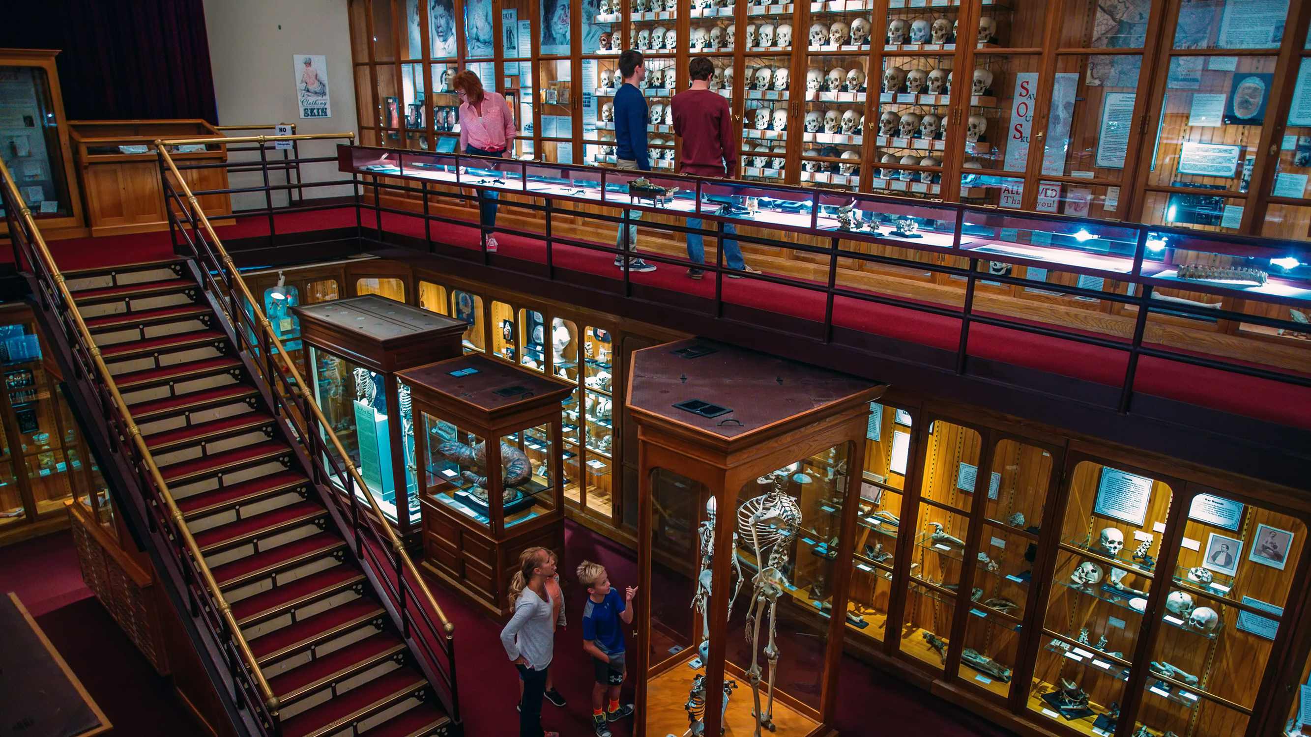 Mütter Museum - Photo 1
