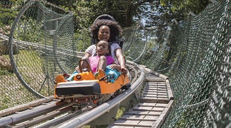 Smoky Mountain Alpine Coaster - Photo 1